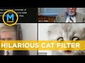 Lawyer can’t figure out how to turn off hilarious Zoom cat filter | Your Morning