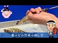 これを見れば活きた車エビは怖くない！【活き車エビの竹串の刺し方】