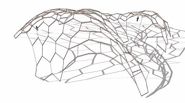 Gridshell Formfinding Brief Exercise