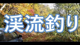 紅葉のトンネルを抜け渓流釣り2019 10 17北海道