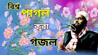 বিশ্ব পাগল করা গজল/গজল/Gajal/New Ghazal/Bangla gojol New/gazal 2024/বাংলা গজল।