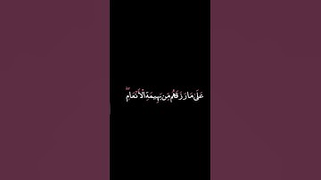واذن في الناس بالحج ياتوك رجالا#سورة #الحج #عبدالرحمن_مسعد #أحمد_خضر #الحجاج #مكة