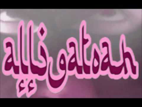 Alligatoah - Willst du [ Lyrics ]