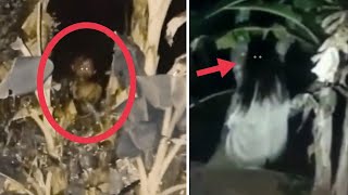 TUYUL DAN KUNTILANAK DI POHON PISANG ! 7 PENAMPAKAN HANTU TERJELAS DAN TERSERAM