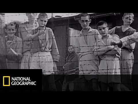 Wideo: Przydatna Lektura. Opowieści O Nazistowskiej Brutalności