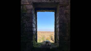 TIR - Window EP [FULL ALBUM] 2026