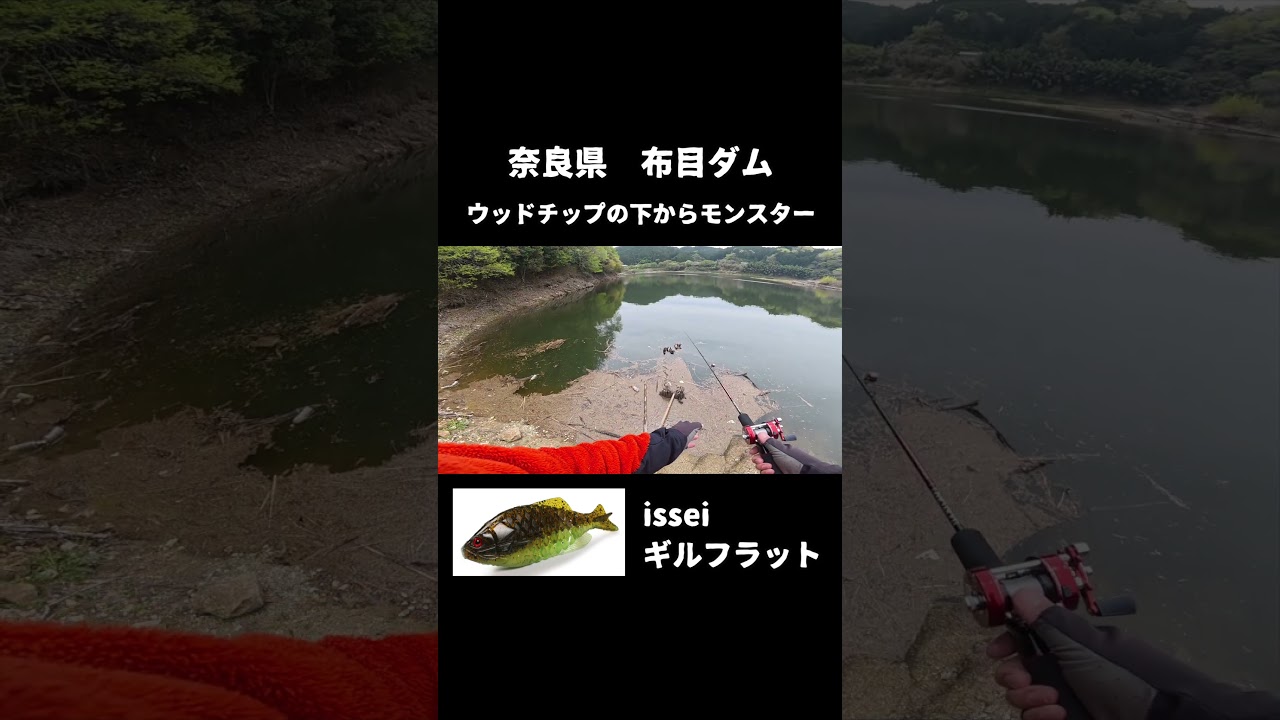 ウッドチップの下からモンスターバス出現！