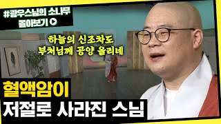 혈액암이 저절로 사라진 스님 [초심으로 돌아가는 광우스님의 소나무 시즌3 몰아보기]