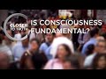 Is Consciousness Fundamental? | Episode 308 | Closer To Truth