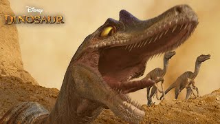 The Velociraptor Attack  Dinosaur (HD Movie Clip)