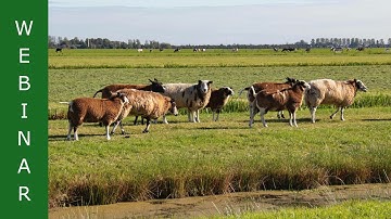 WEBINAR | De toekomst in beeld met Pointer | Ina Hulsegge | Fokken met Verstand 2020