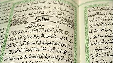 تلاوة الشيخ رشيد القليب ماتيسر من سورة يس