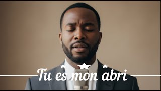 Tu Es Mon Abri - Praisegod