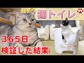 ストレスが減る？猫と飼主がお得になる猫トイレ「ラプレ 壁高ネコトイレ ホワイト」を買ってみた 【瀬戸の猫部屋日記】