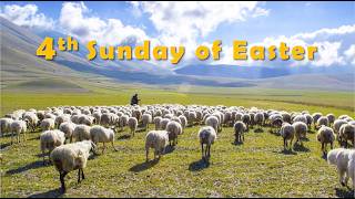 4th Sunday of Easter 2026