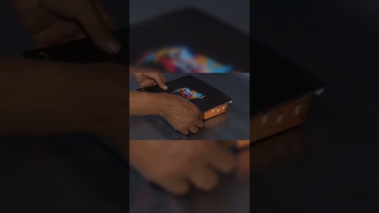 Bandejas Seladas CoPack