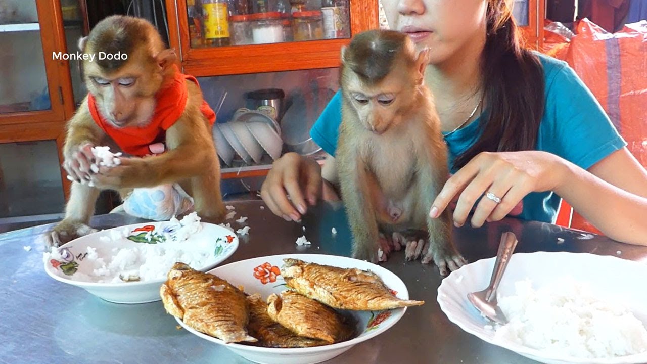 Wow Dodo And Donal Very Happy To Join Dinner With Lovely Mom