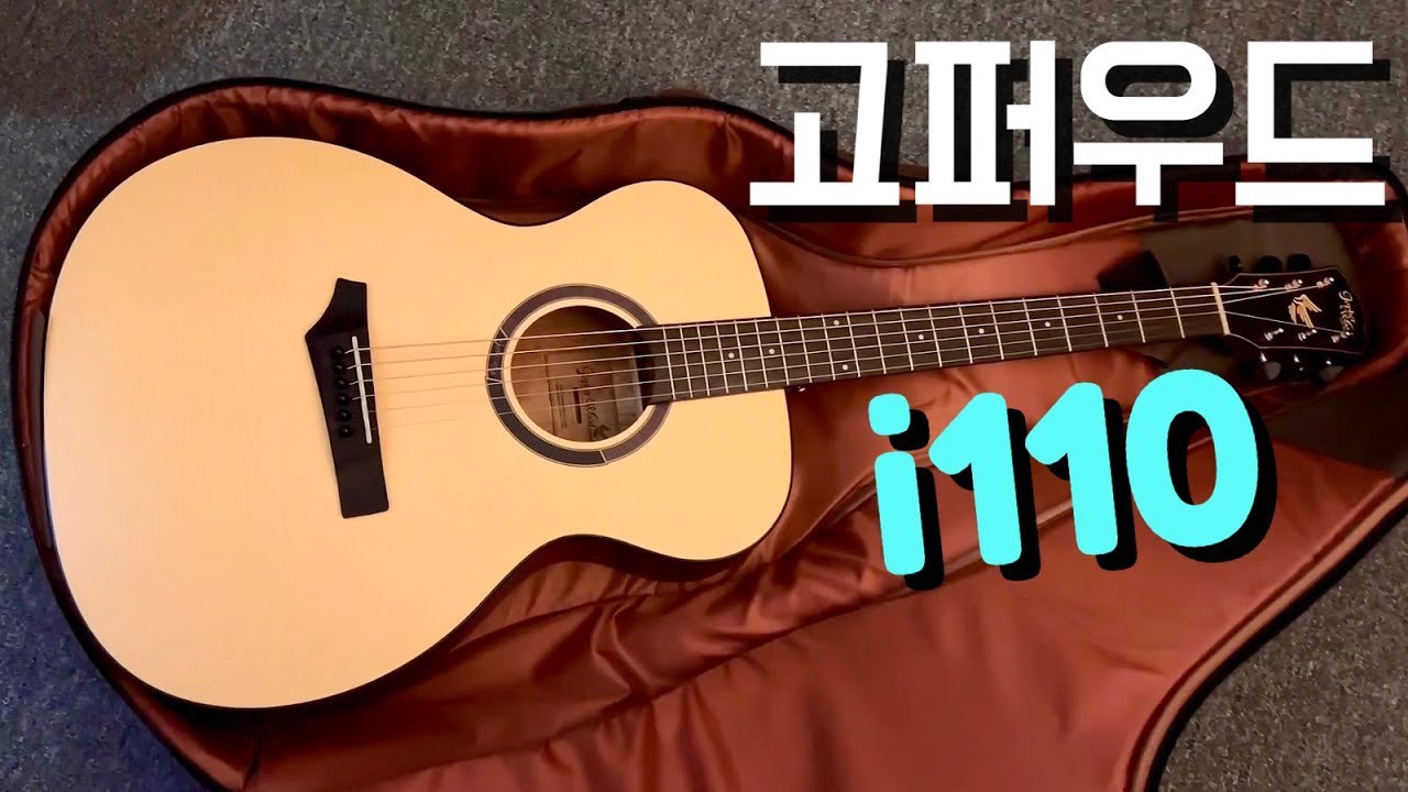 가격, 스펙 모두에게 만족스런 고퍼우드i110 통기타 🎸