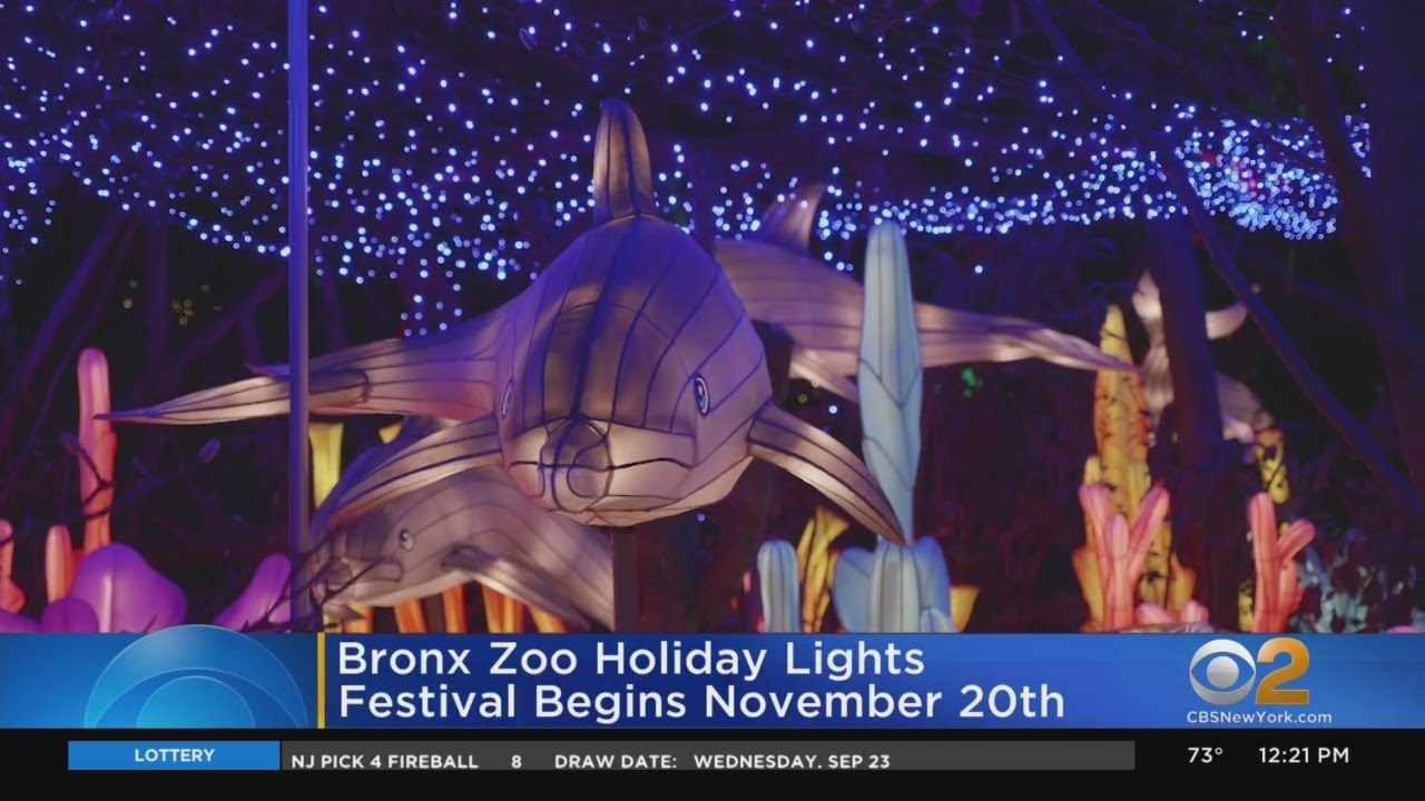 Bronx Zoo Holiday Lights Festival Begins Nov. 20 YouTube
