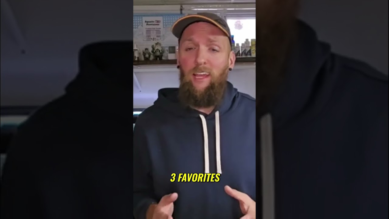 Aquarium Snail Trap: Top 3 Easy Methods!