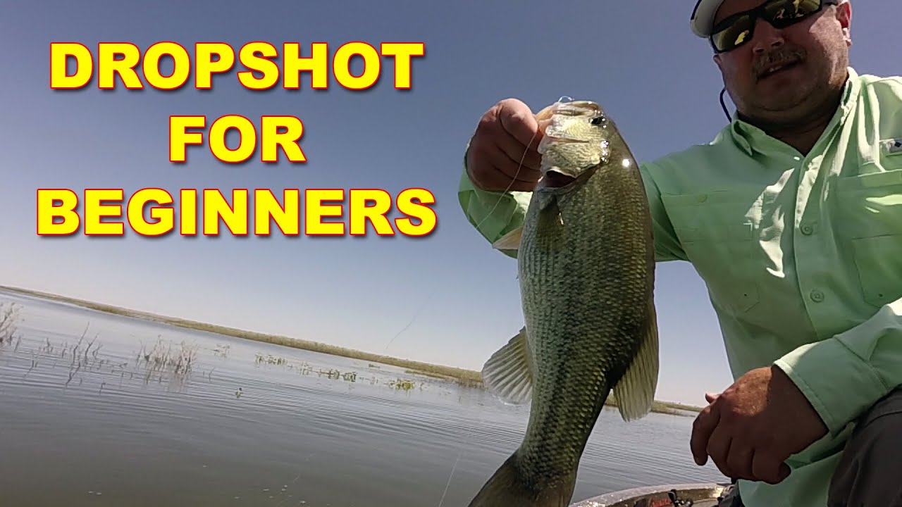 Dropshot For Beginners  Bass Fishing 