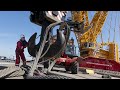 Incredible biggest crane assemble you must see heavyduty equipment for bridge construction