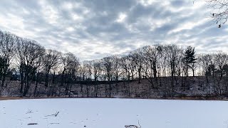 Pics in the Parks - Winter Challenge 1 (Weather) screenshot 3