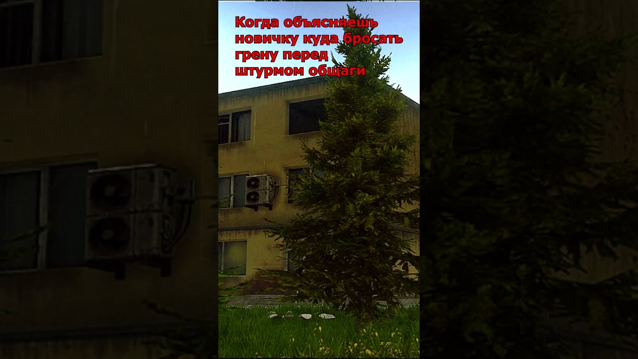 Новичок в команде 