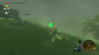 Botw: Buffalo fade