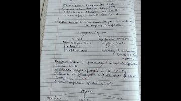 Control and coordination🧠❤️ | Class 10 biology✨🎀 chapter 2 | Handwritten notes with pdf | #notes