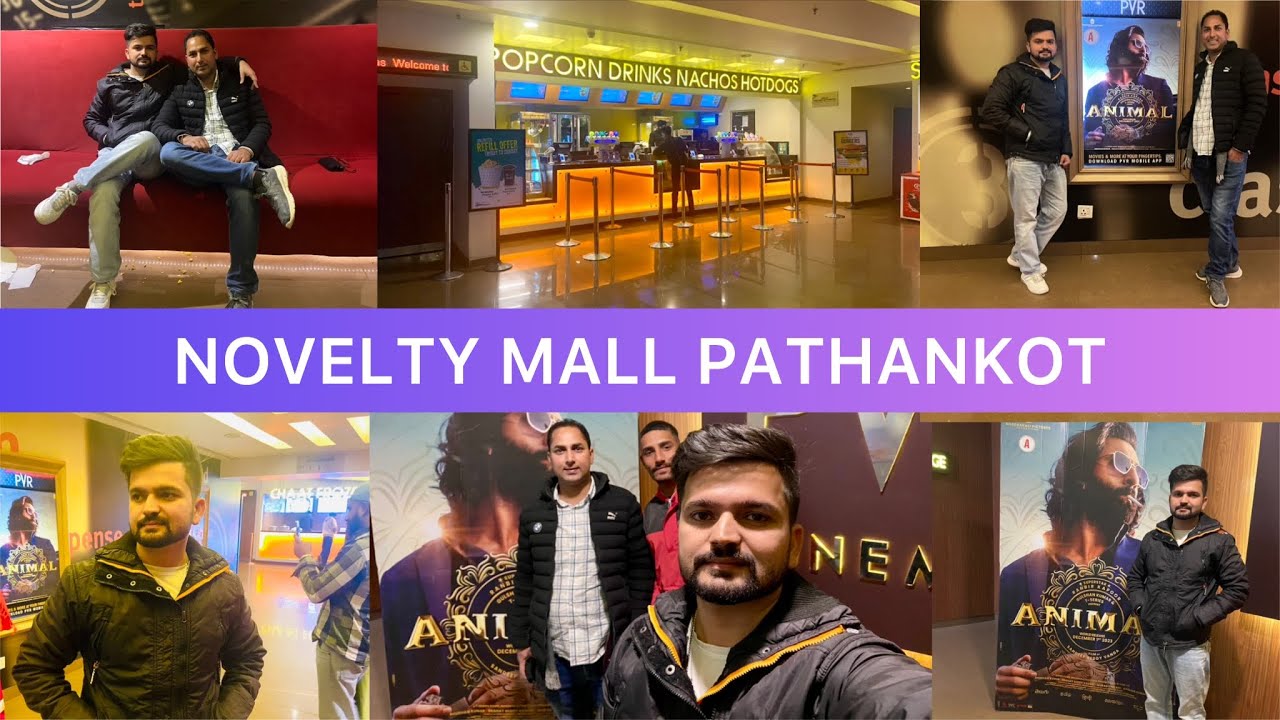 Animal Movie Honest Review 😰 Saari Dunia Jala Denge 🔥 Novelty Mall