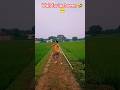 Hard work javelin thrower athlete video #ytshorts #javelinanuj01 #youtubeshort #shortvideo