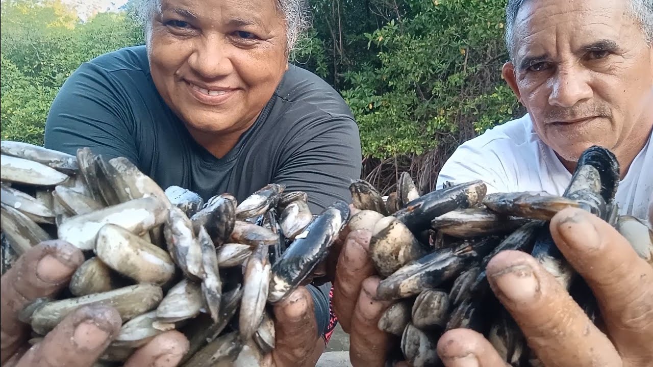 FARTURA DE MARISCO NO RIO PACOTI! BORA MARISCAR?