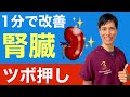 【医者が廃業する】ツボを押すだけで腎臓を回復させる方法を完全解説します
