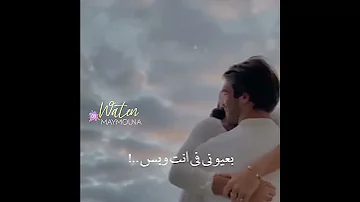 حالات واتس اب اغنيه معقولة حبيتك ع زوقي لاقيتك 