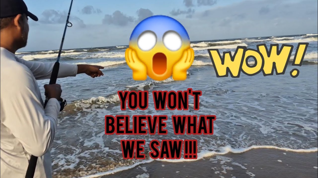 Can't believe we saw this on the beach 😱 YouTube