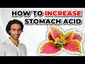 Optimize Digestion: Increasing Stomach Acid Naturally