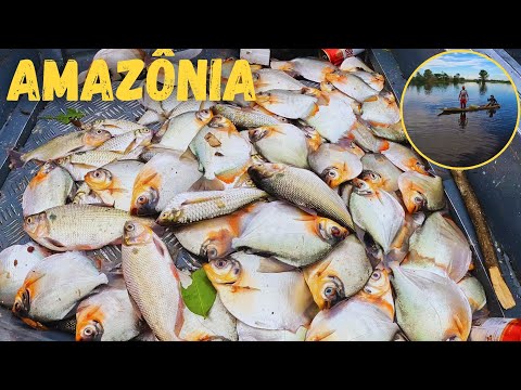 WE FOUND THE SCHOOL of PACU / it was the BEST CANE POLE FISHING trip I've ever had in the AMAZON