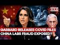 COVID Origins Bombshell: Tulsi Gabbard Claims Biden Aide Fauci 'Funded' Wuhan Lab Research In China