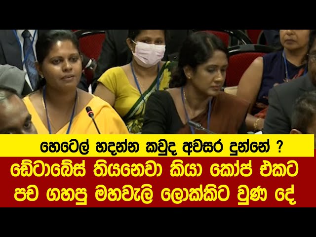 ඩේටාබේස් තියනෙවා කියා කෝප් එකට පච ගහපු මහවැලි ලොක්කිට වුණ දේ