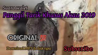 Suara walet panggil Tarik Khusus Akau 2019