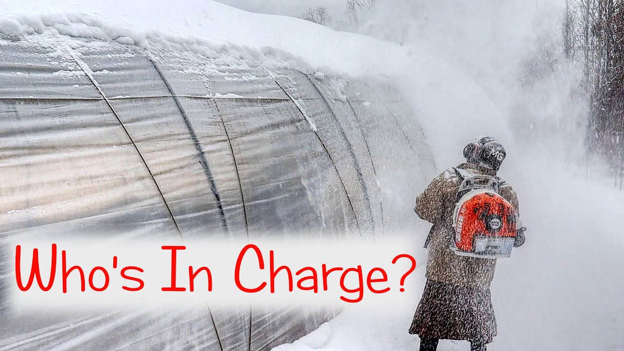 Lew Keith: Who's In Charge?