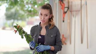 Recycling Tip #1 - Yard Waste