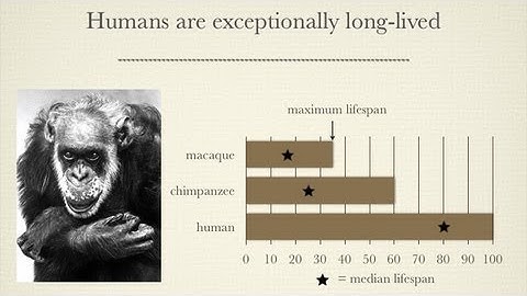 CARTA: Uniquely-Human Features of the Brain: Plasticity, Social Nature, Unified Mind