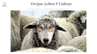 Ovejas, Lobos y Cabras - Remnant Messengers
