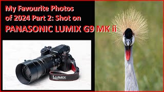 My Favourite Photos of 2024 Part 2: SHOT ON PANASONIC LUMIX G9 MARK ii