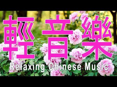 超好聽🌹🌹50 首你一定喜歡的恰恰音樂合集【悅耳動聽 輕鬆愉快 值得收藏 】 輕音樂 Relaxing Chinese Music # 1