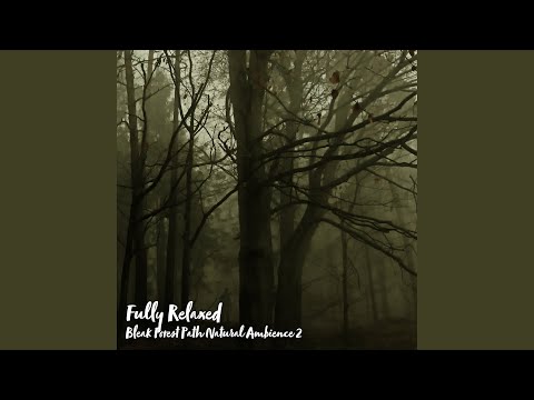 Obejrzyj Bleak Forest Path Natural Ambience, Pt. 1 w YouTube