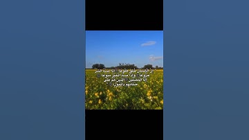 سورة المعارج القارئ المنشاوي 🌼🌾. #shortvideo #اكسبلور #المصحف #لايك #السعودية
