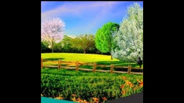 سورة الاخلاص بصوت يريح القلب